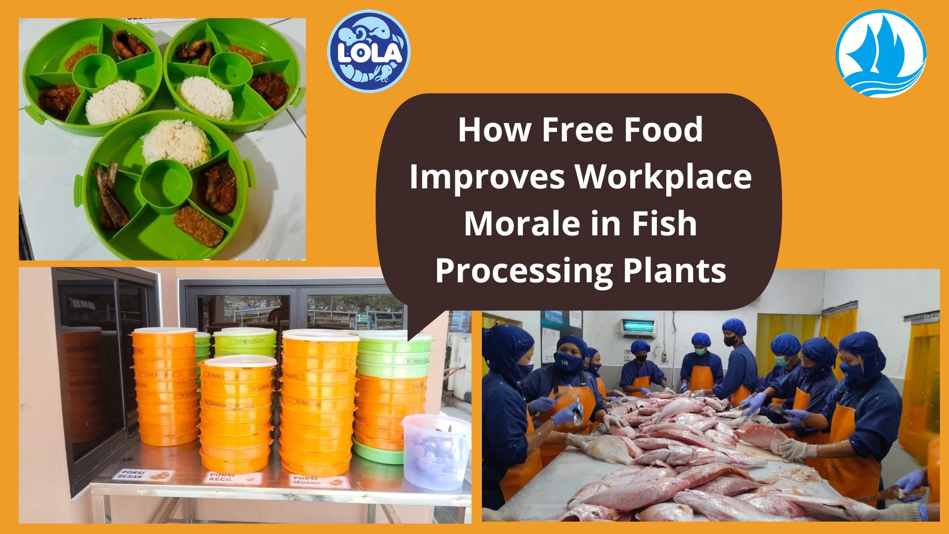  How Free Food Improves Workplace Morale in Fish Processing Plants